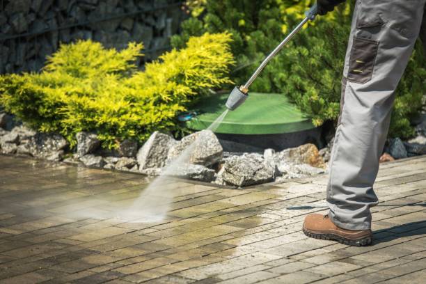  Highland Lakes, AL Pressure Washing Pros