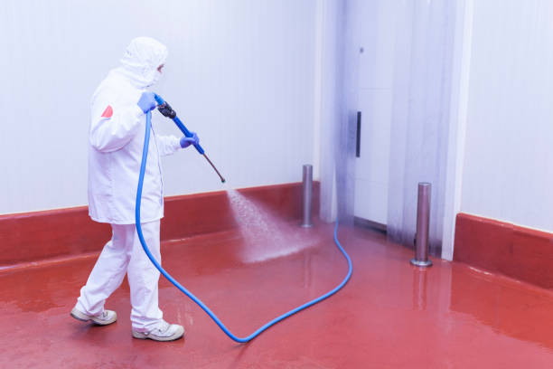 Best Rust Removal  in Highland Lakes, AL